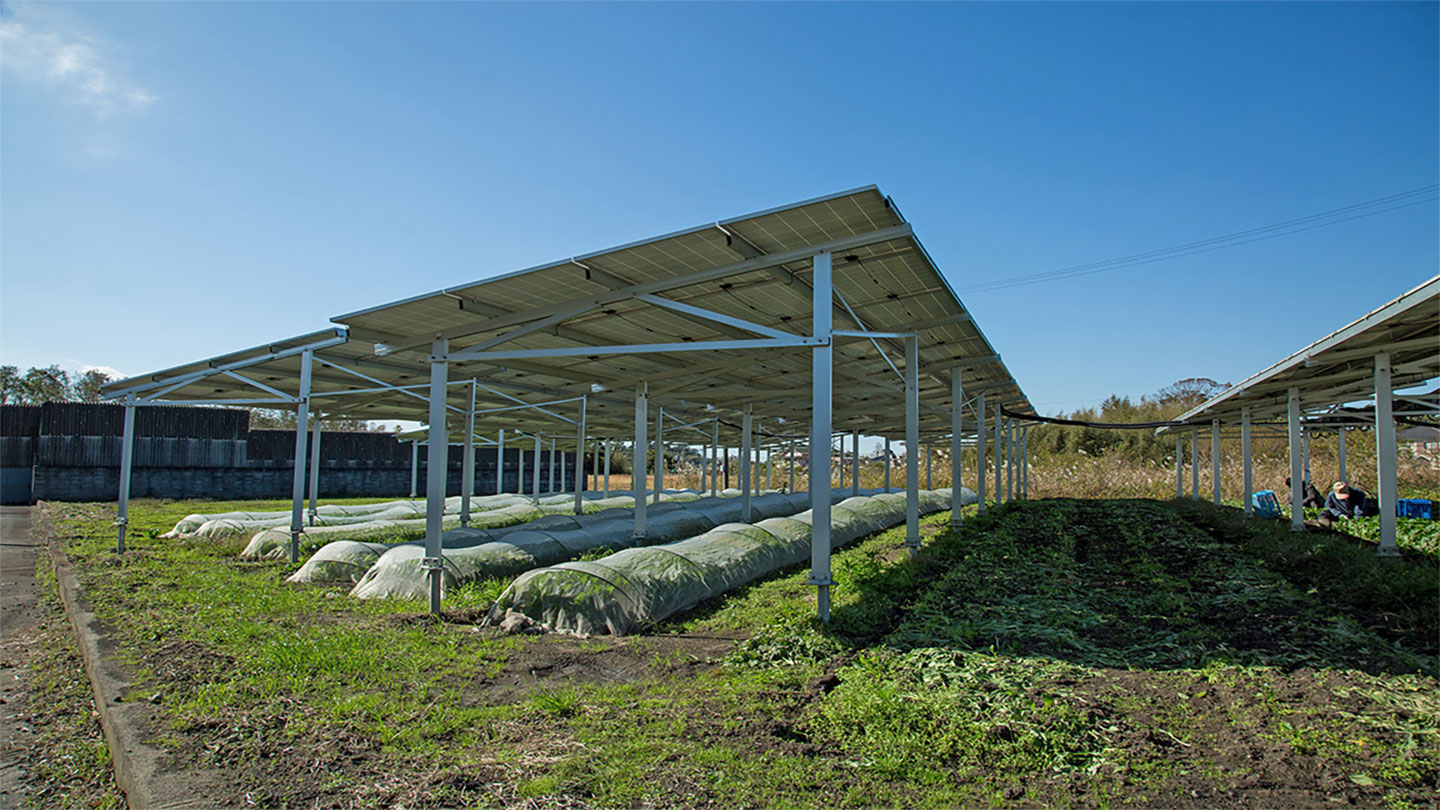 千葉県睦沢町のソーラーシェアリング農場